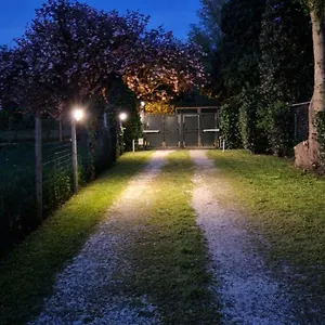 https://la-casina-apartament.emilia-romagnahotels.net